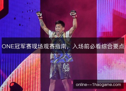 ONE冠军赛现场观赛指南，入场前必看综合要点